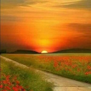 Meet your Posher, Elba